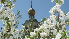 Благоустройство храма Святого Василия Блаженного